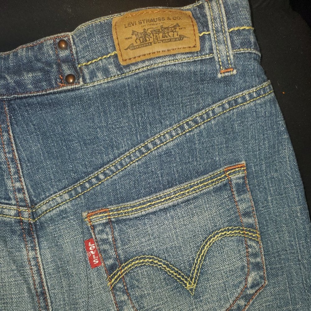 Levi's Denim Skirt (Dark Wash, Long)